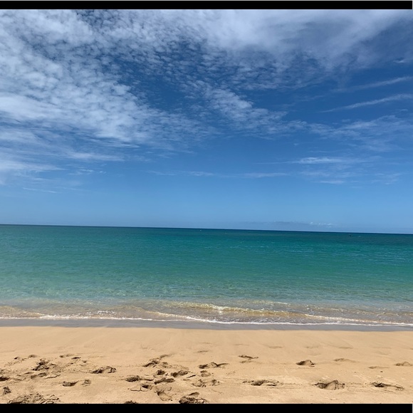 Meet your Posher, Shayla - Picture 6 of 16